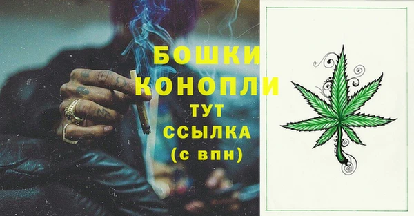 бутират Белокуриха