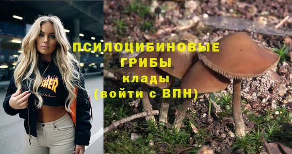 ALPHA PVP Арсеньев